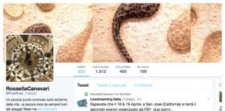 In controtendenza, amo Twitter (ho aperto un altro account) e vi dico perché!