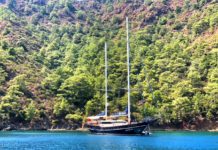 Video diario delle mie vacanze in Turchia: Navigando su un Caicco!