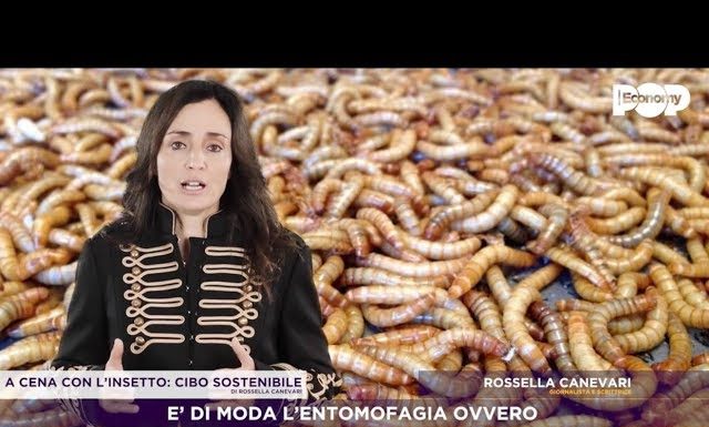 A cena con l’insetto? Parliamo di questo taboo con Entonote per Pop Economy Tv