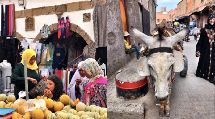 Marrakech and its surroundings, my first time in Morocco