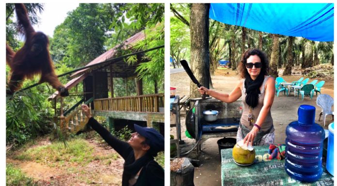 Sumatra: gli oranghi e l’olio di Palma…